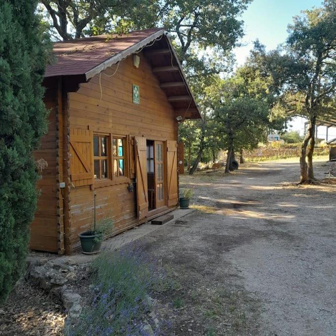 La Cabane En Bois Tourves Exteriér fotografie