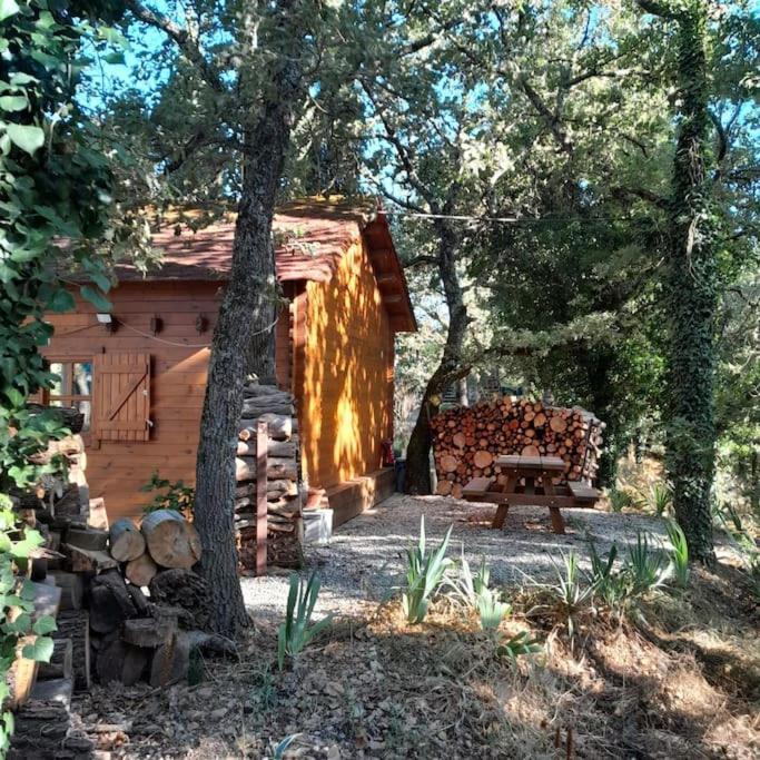 La Cabane En Bois Tourves Exteriér fotografie